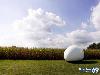 Amazing Mini Egg House by dmvA